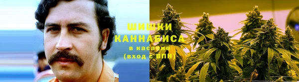 гидропоника Бронницы