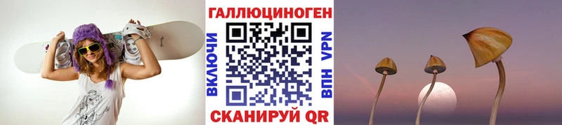 Псилоцибиновые грибы MAGIC MUSHROOMS  где купить наркоту  MEGA tor  Суворов 